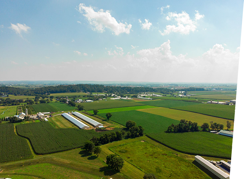 Farmland Angle Farmland Angle