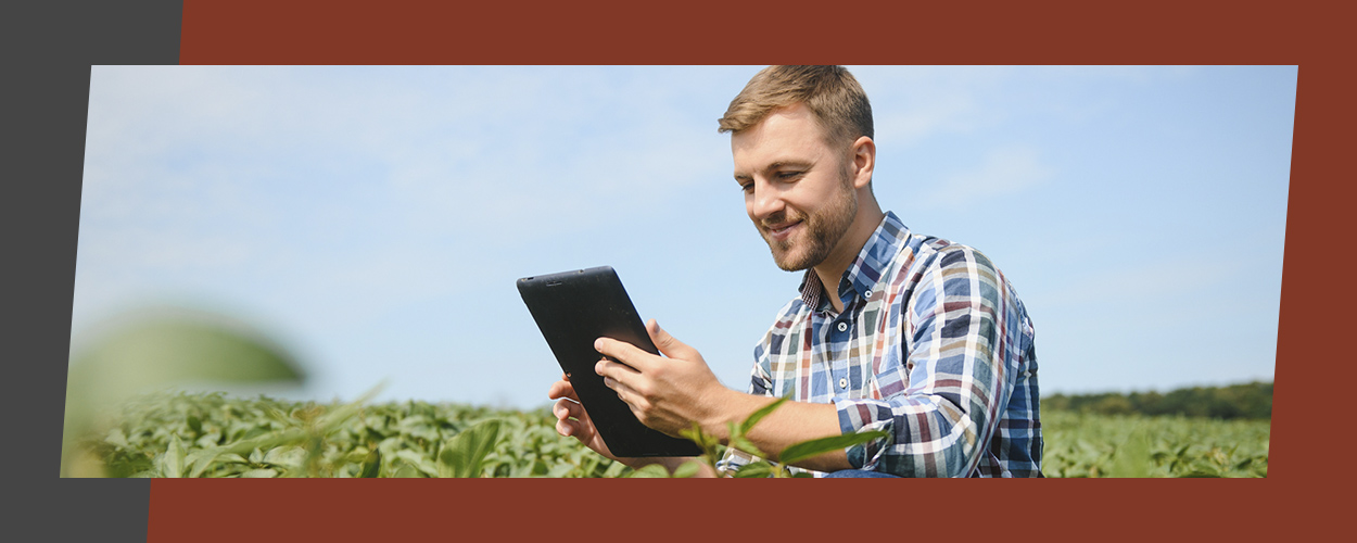 Understanding How Agriculture Is Leveraging AI